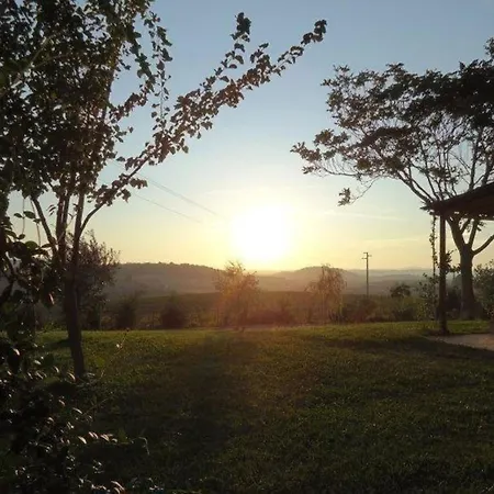 Mit Blick Auf Den Garten *