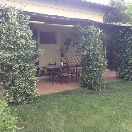 Mit Blick Auf Den Garten