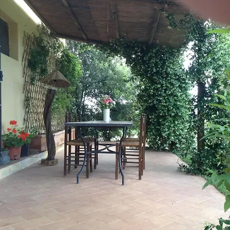 Daire Mit Blick Auf Den Garten *
