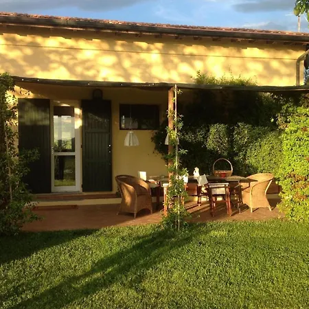 Daire Mit Blick Auf Den Garten